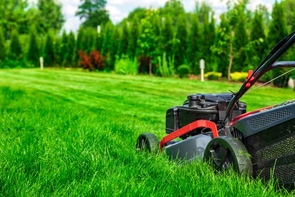 mowing yard