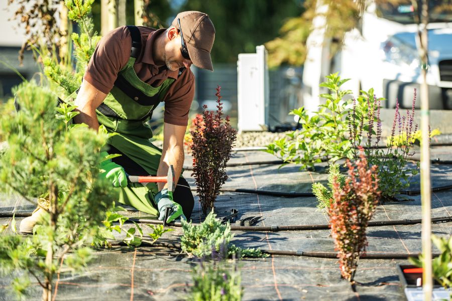 landscaper connects drip irrigation lines throughout a flower bed