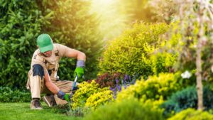 professional commercial landscaping