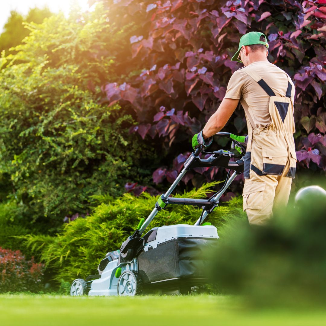 professional landscaper mowing grass