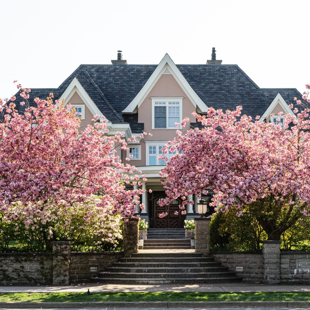 house with pink trees and hardscaped steps 