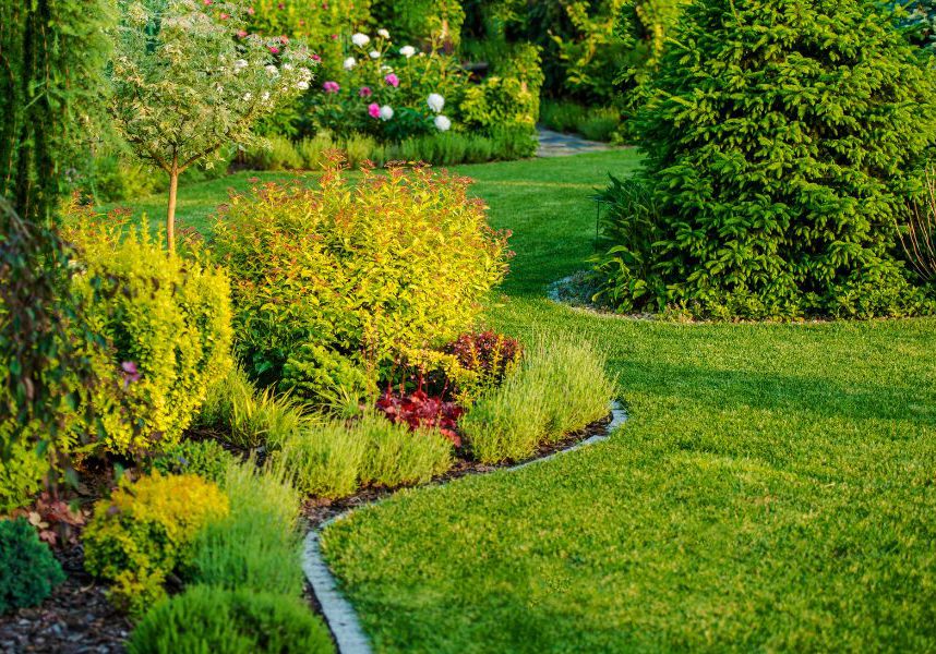 professional commercial landscaping