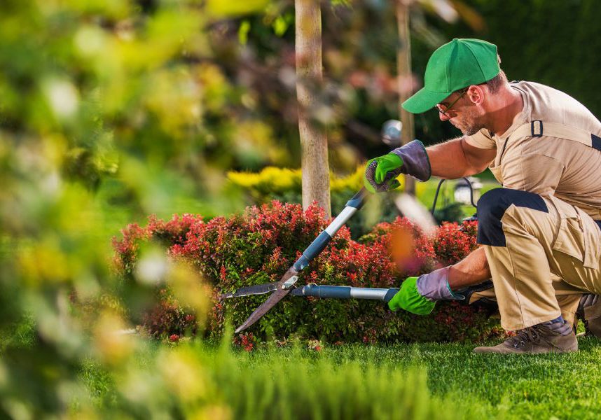 commercial landscaping maintenance services